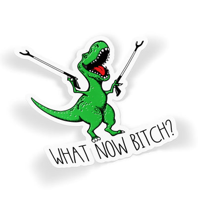 What Now Bitch Dino