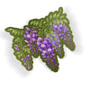 Wisteria Branch
