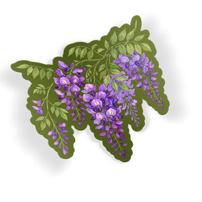 Wisteria Branch