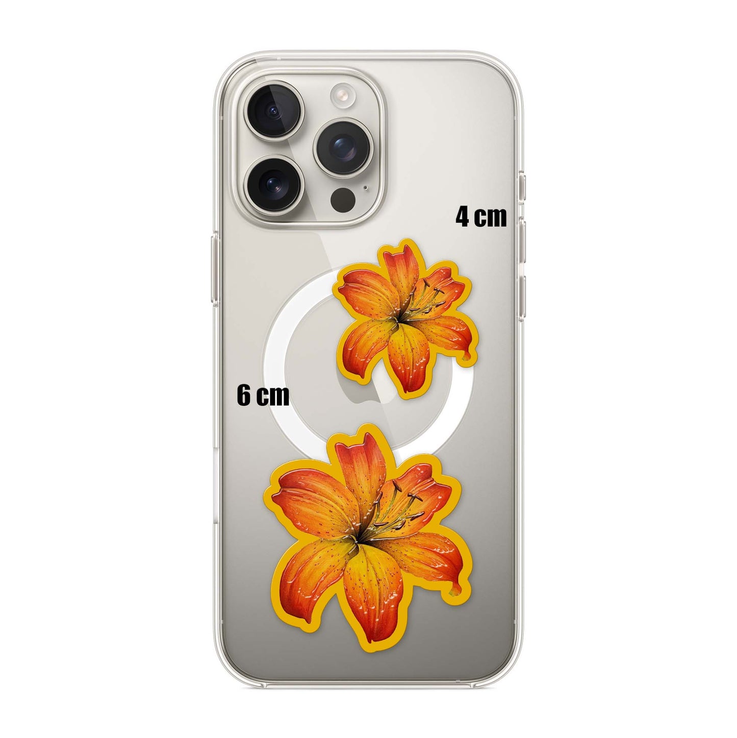 Amber Lily