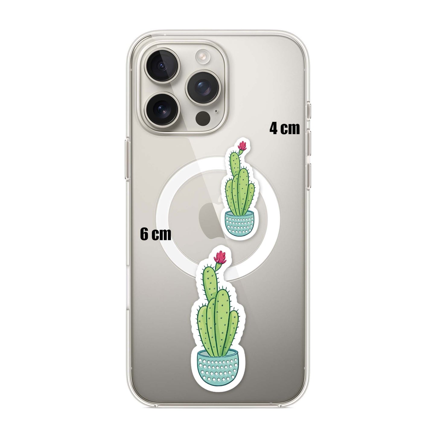 Baby Cactus