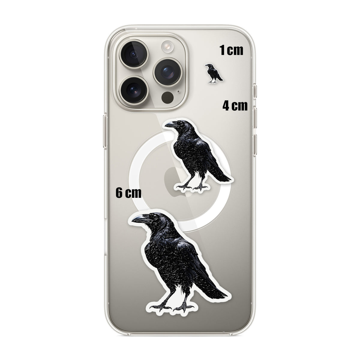 Black Raven