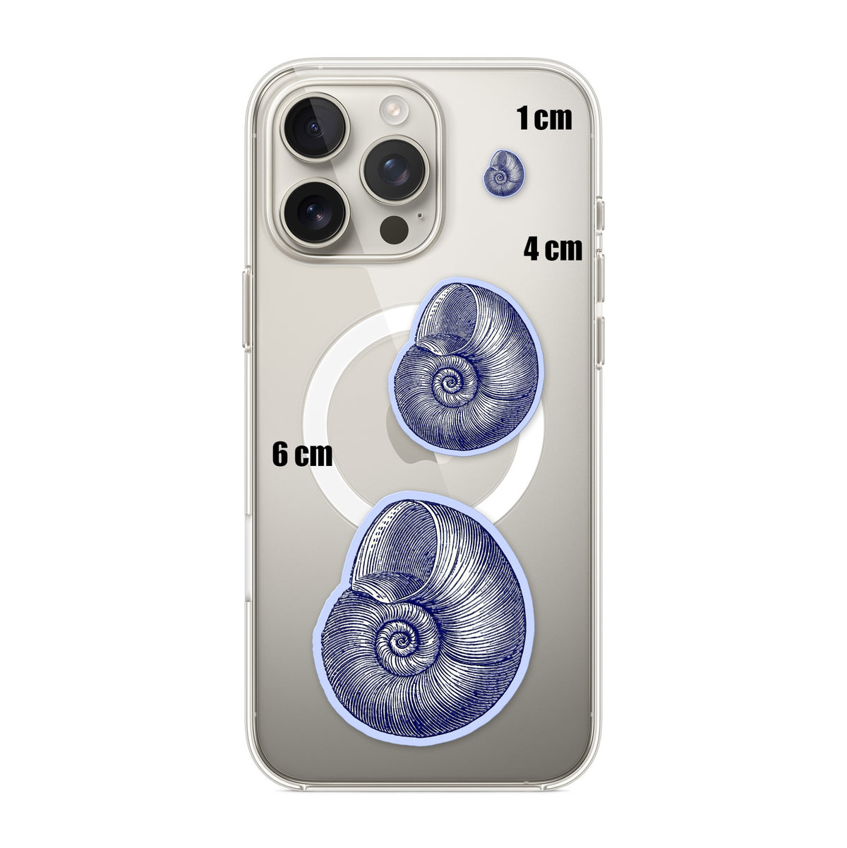 Blue Nautilus Shell