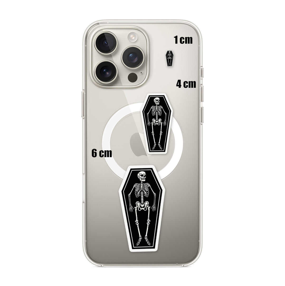 Coffin Skeleton