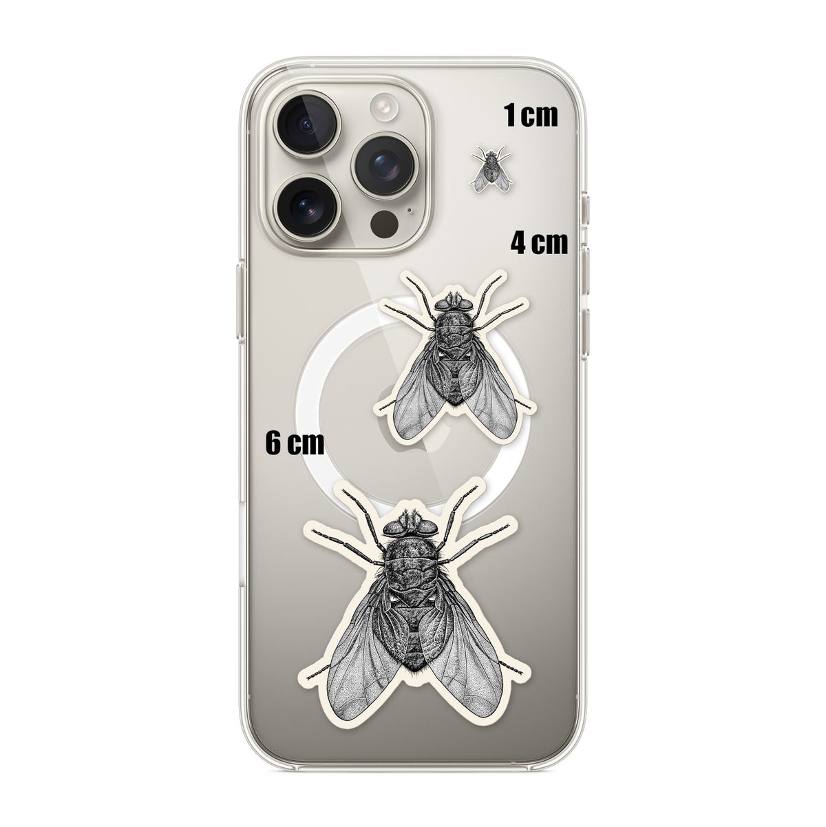 Engraved Blowfly
