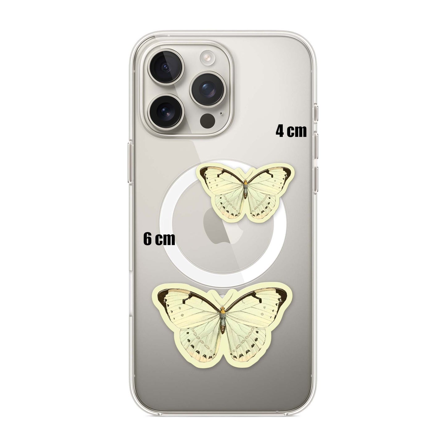 Ivory Wing