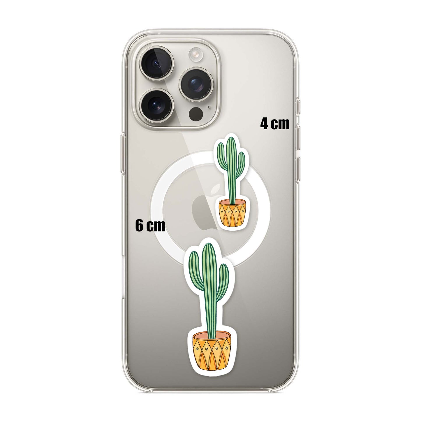 Mini Cactus
