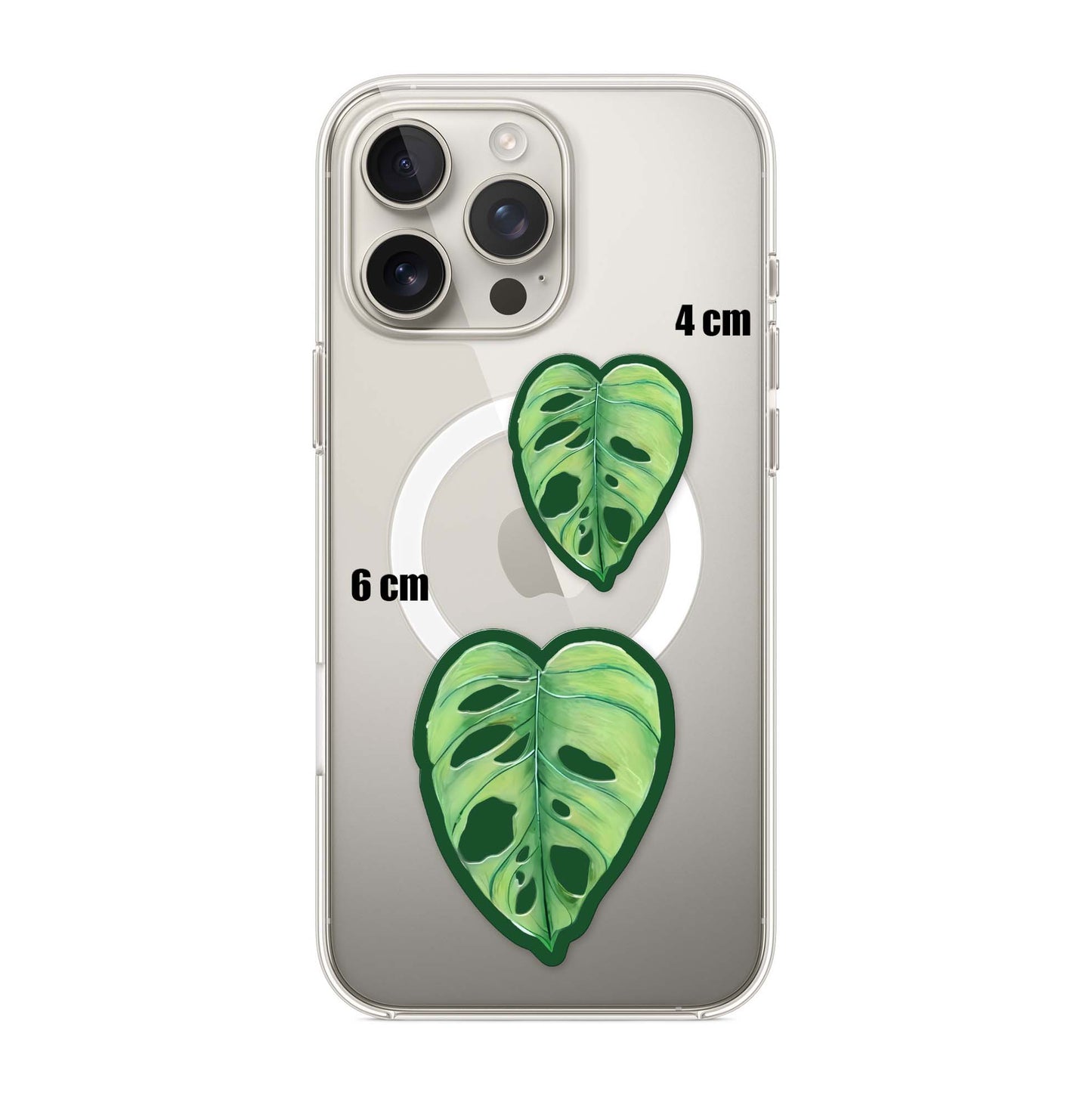 Monstera.H