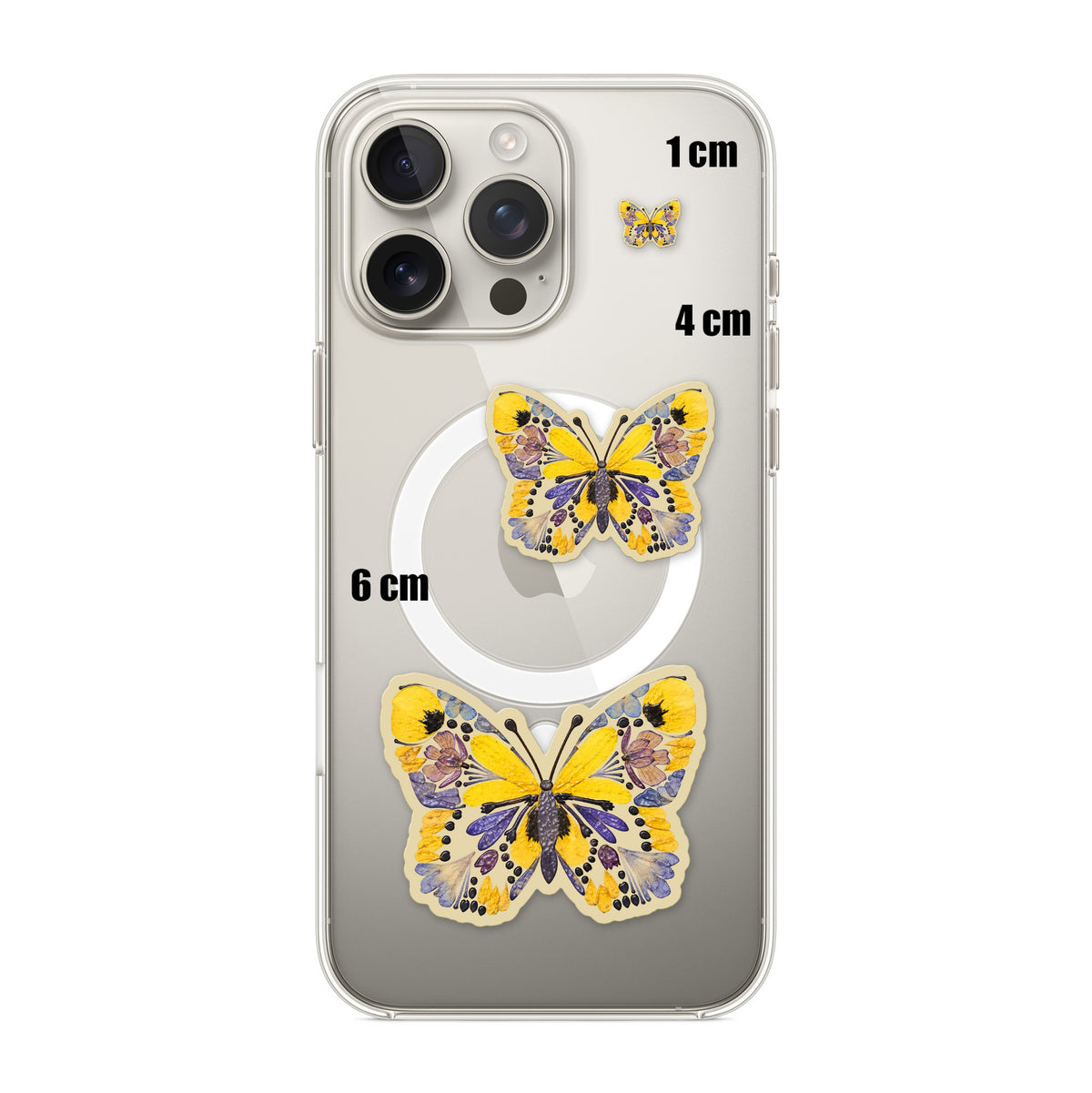 Pressed Petal Butterfly
