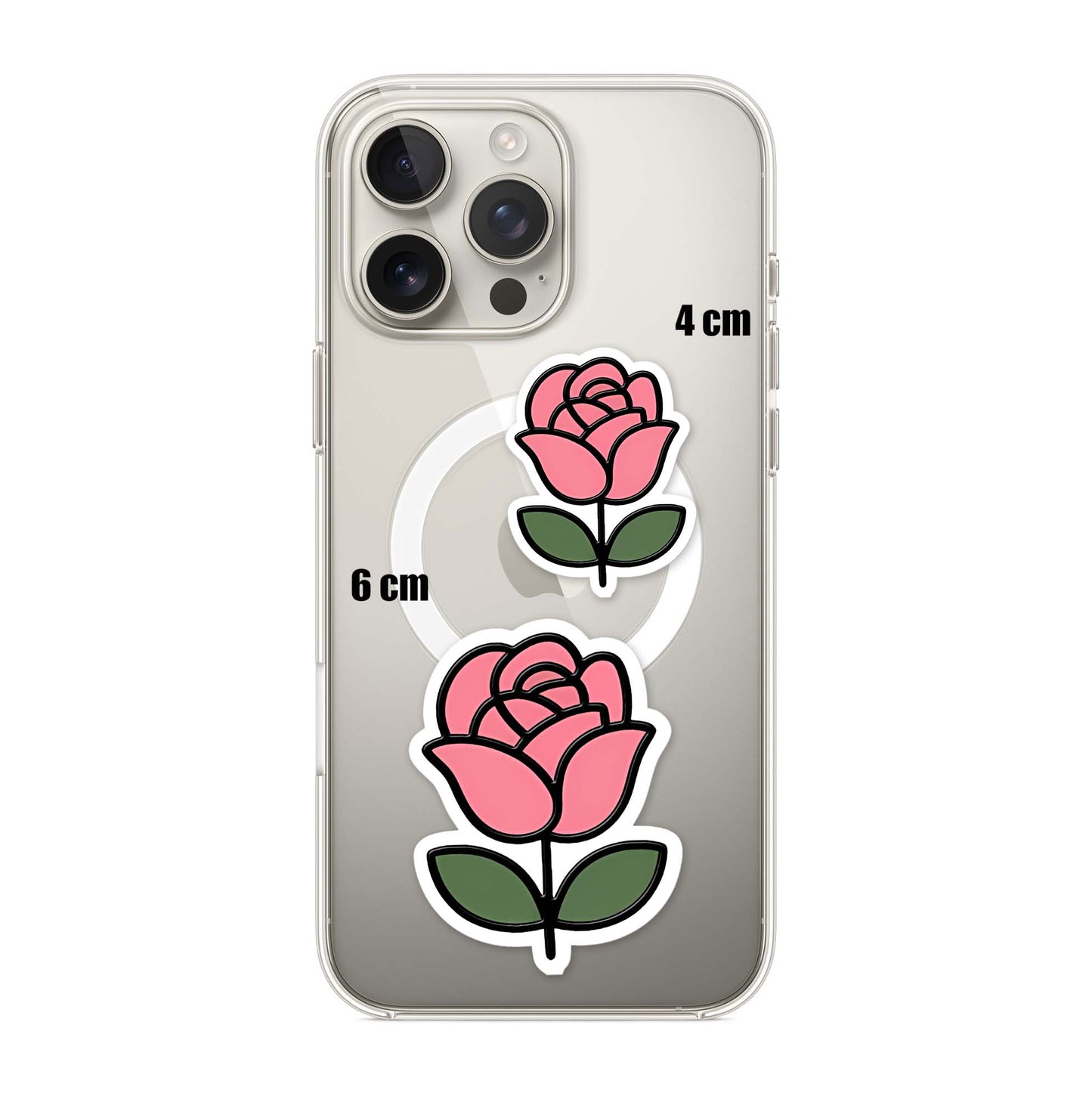 Rose Bloom