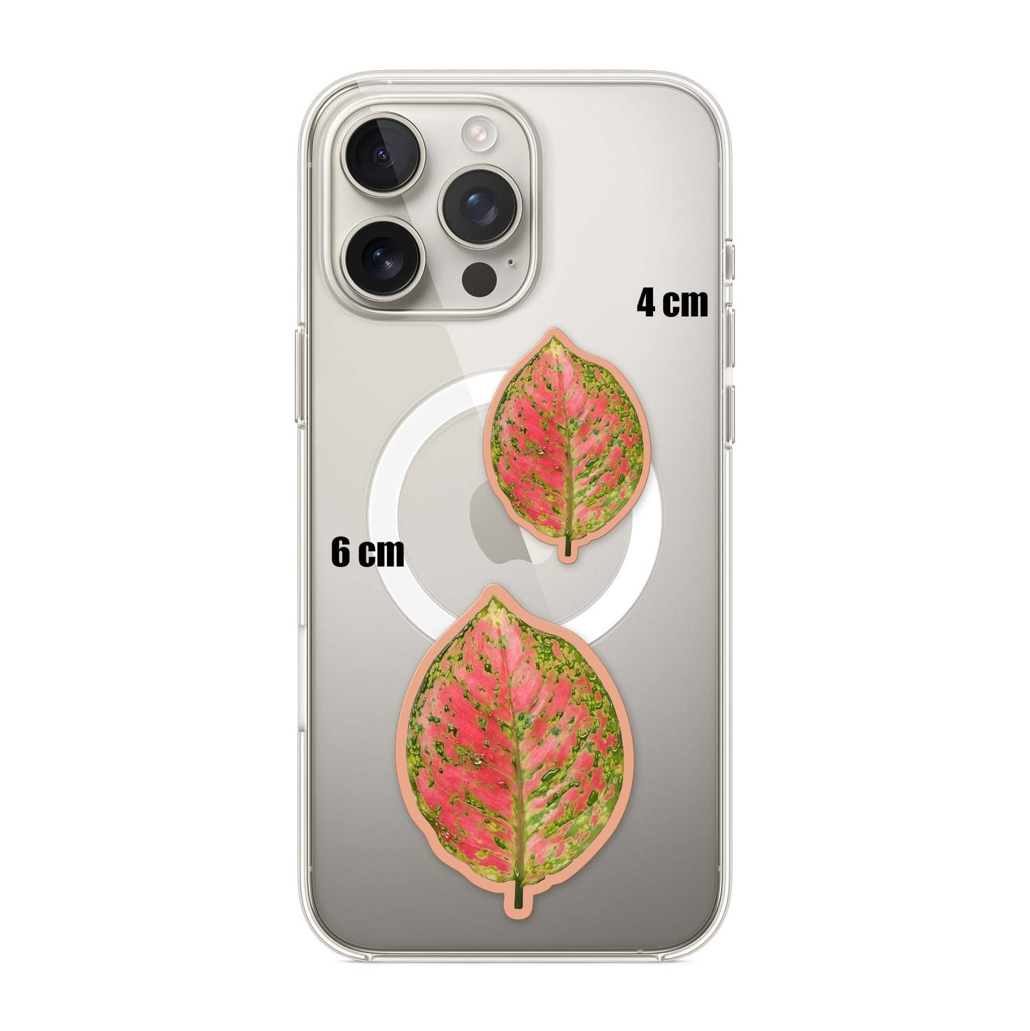 Rust Leaf