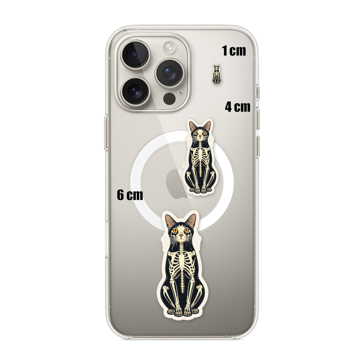 Skeleton Cat Sitting