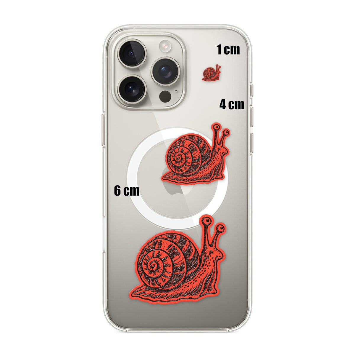 Snail Spiral