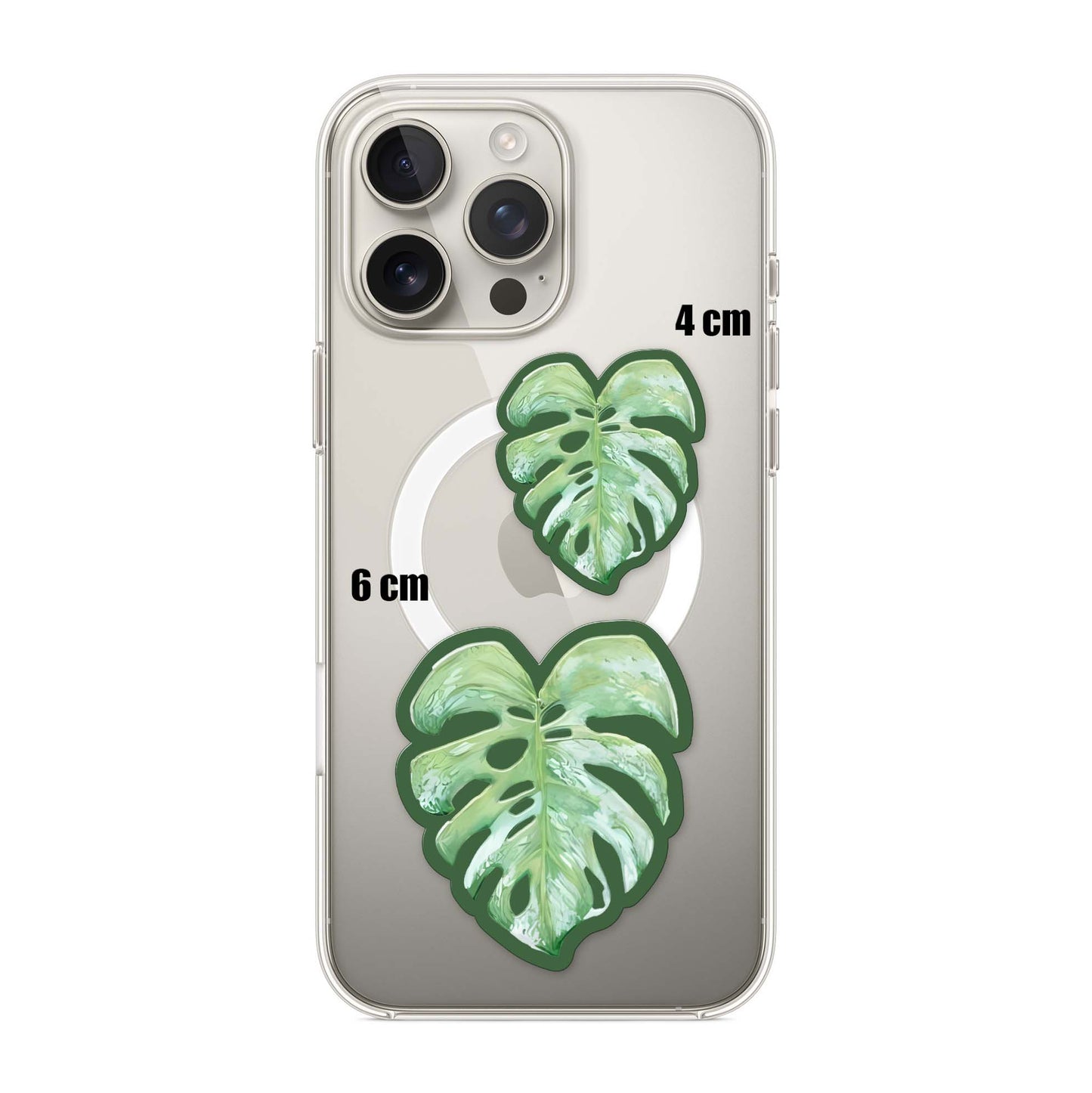 Split Leaf