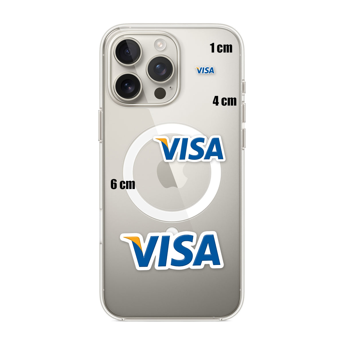 Visa Logo 2000s