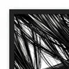 AF - Manga Eye