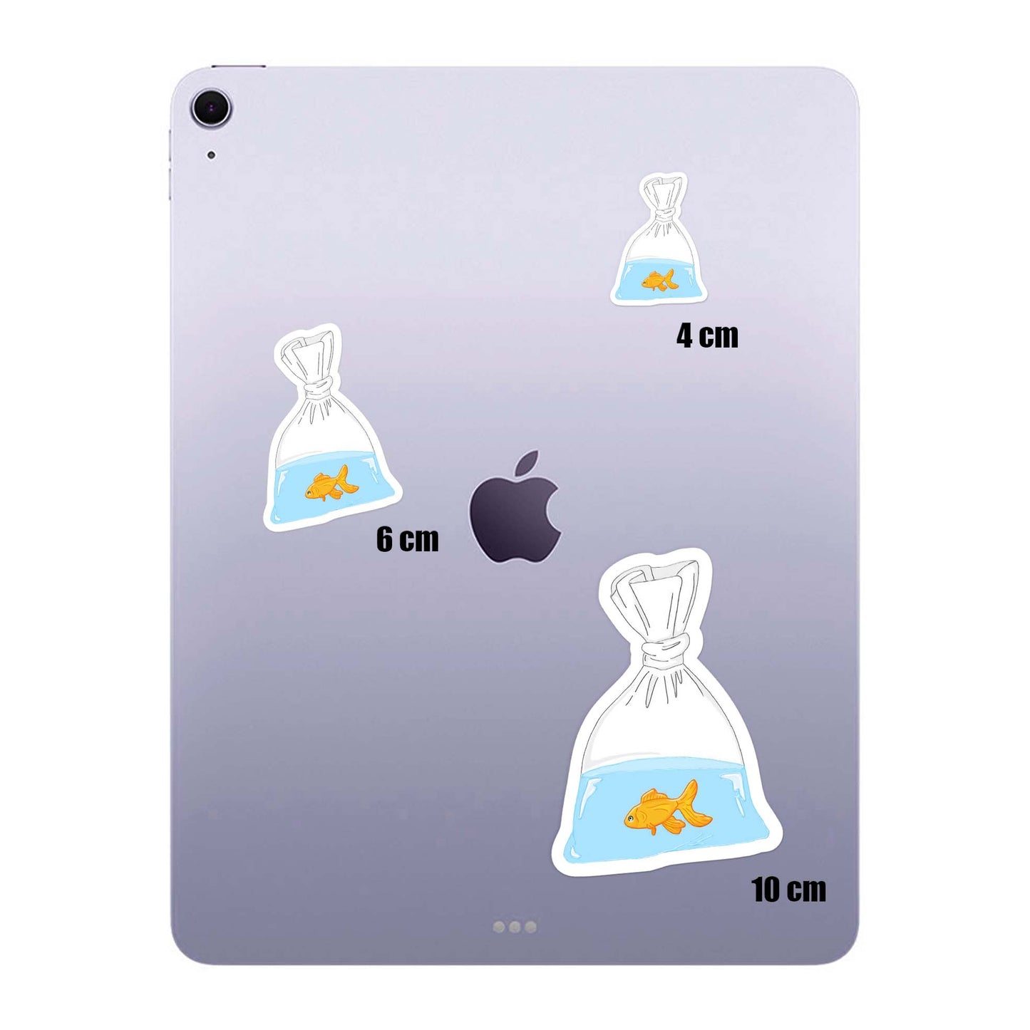 Bag Fish