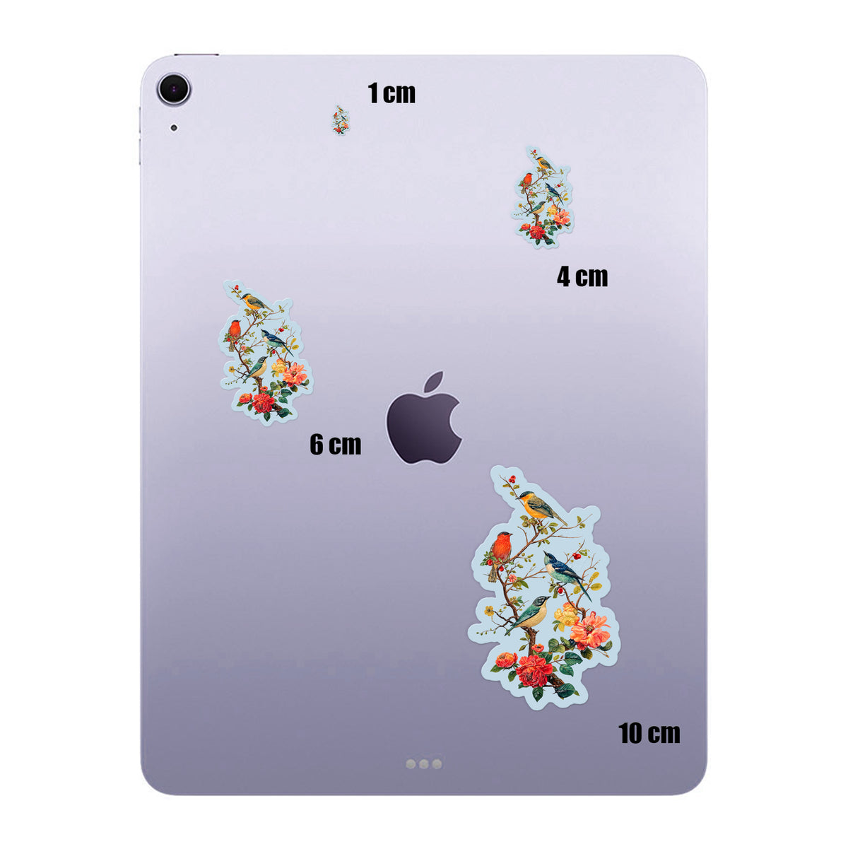 Birds On Blossom Branch