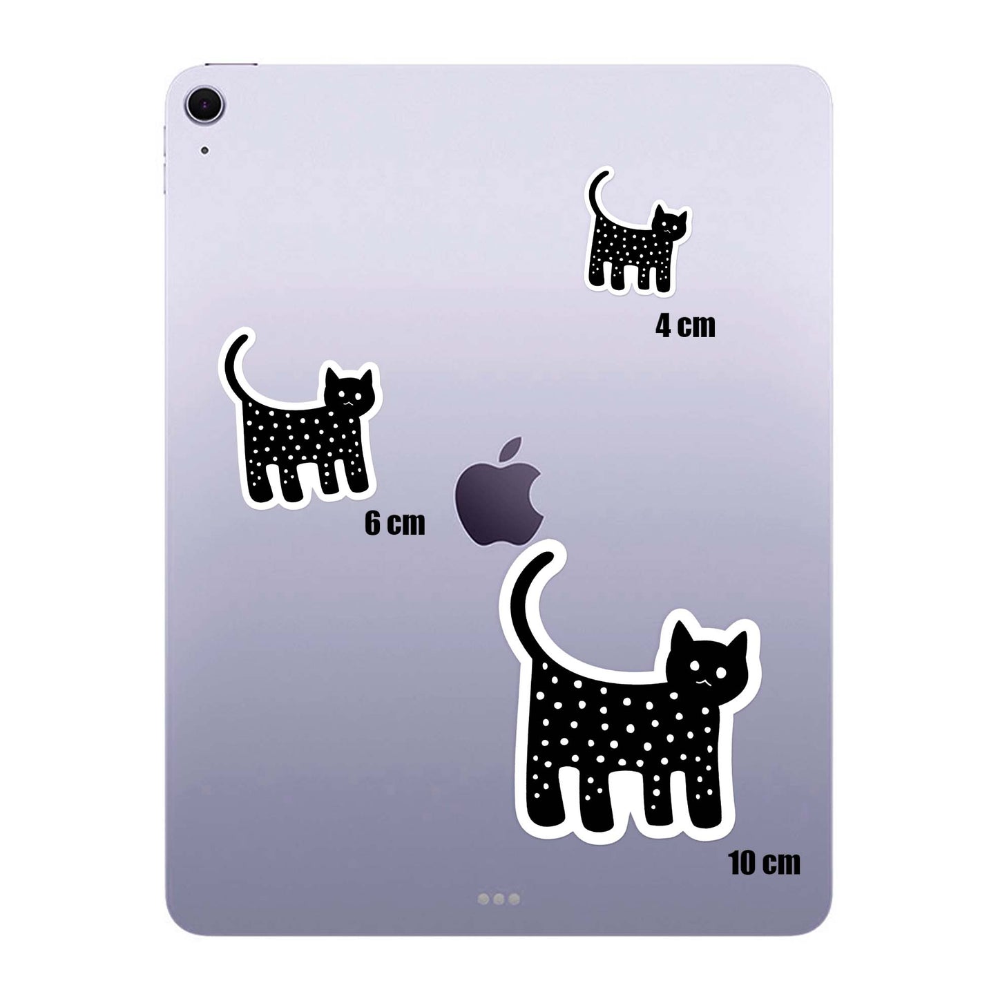 Black Cat II