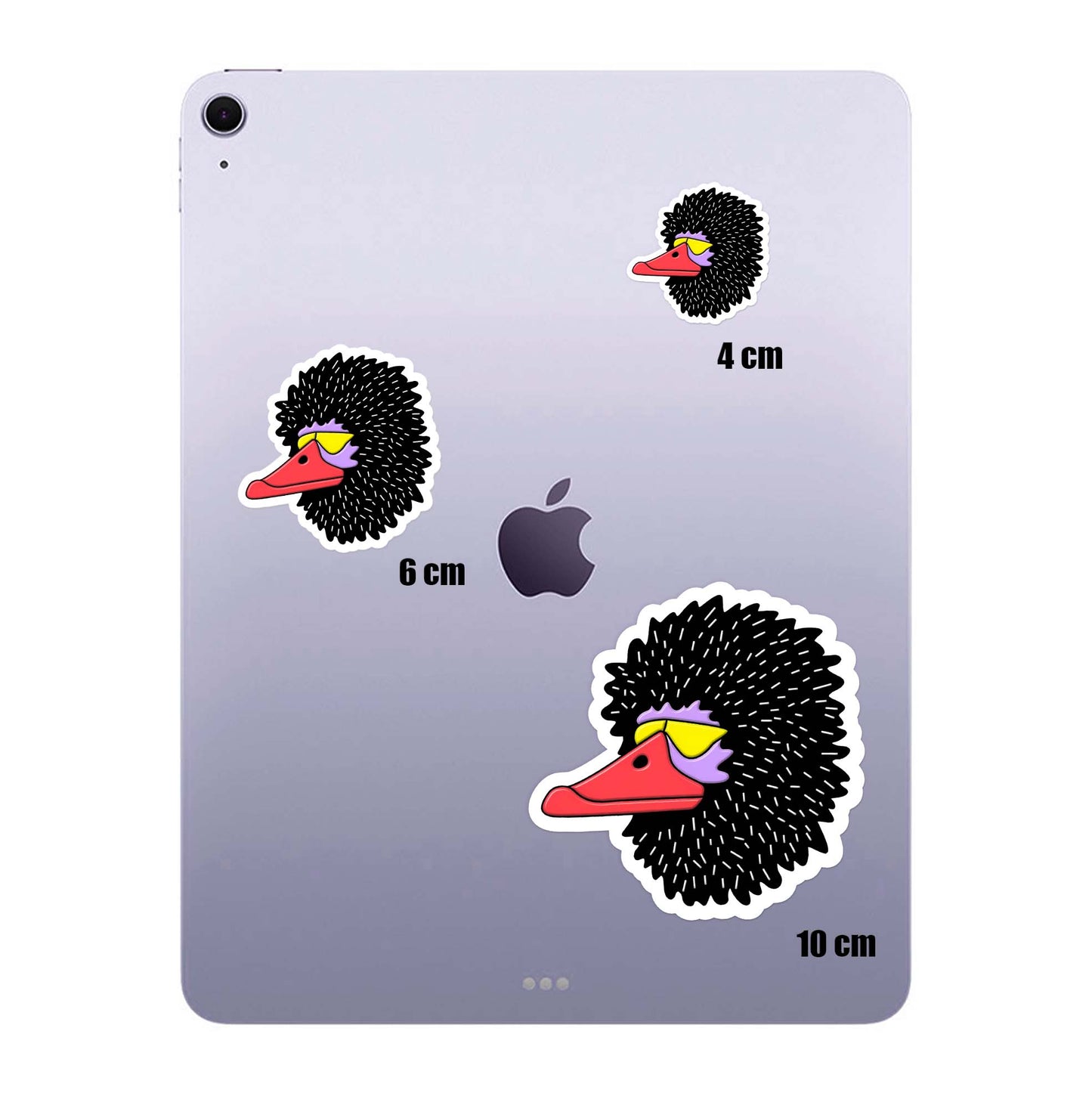 Black Duck