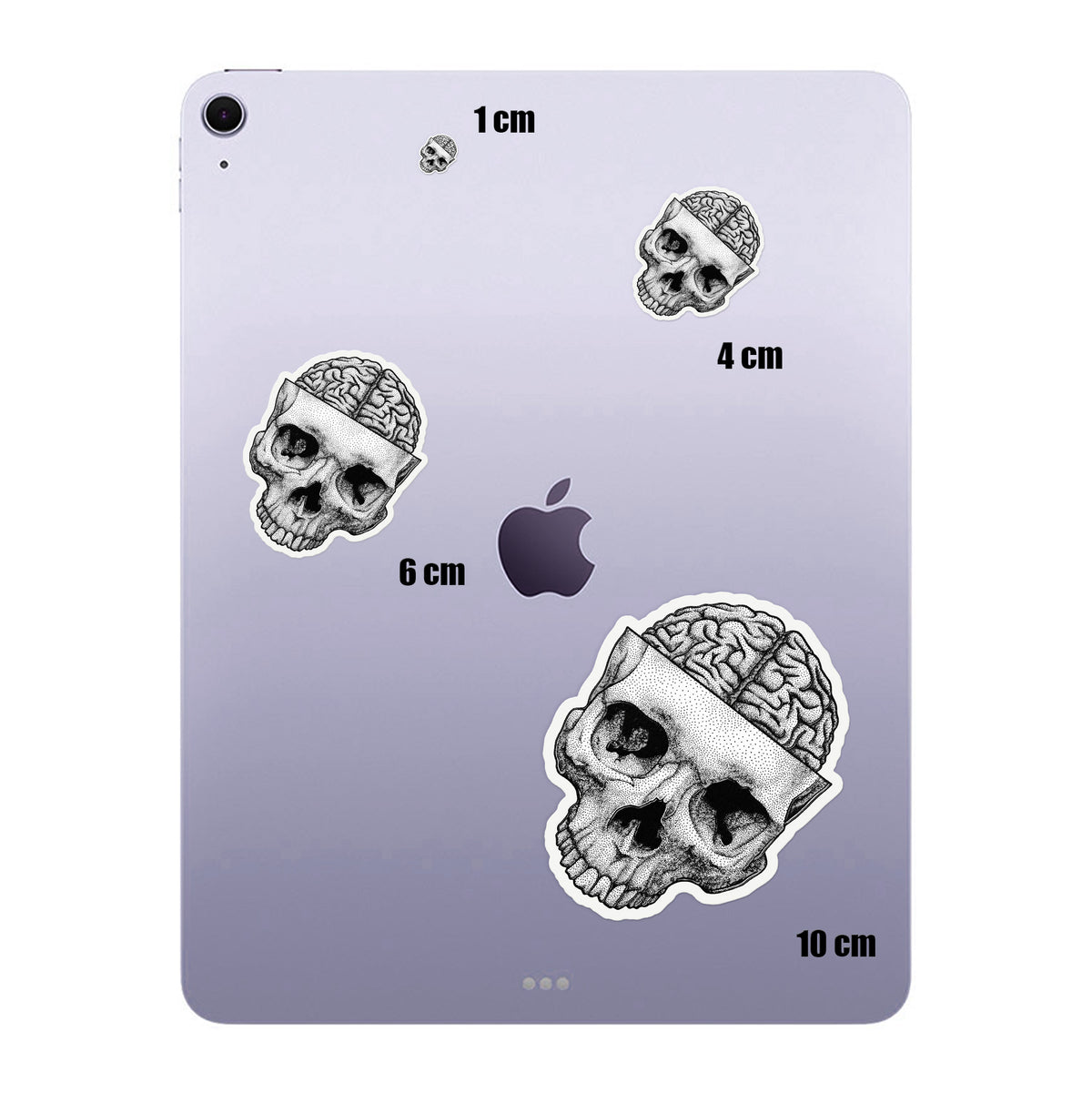Brain Skull Stipple