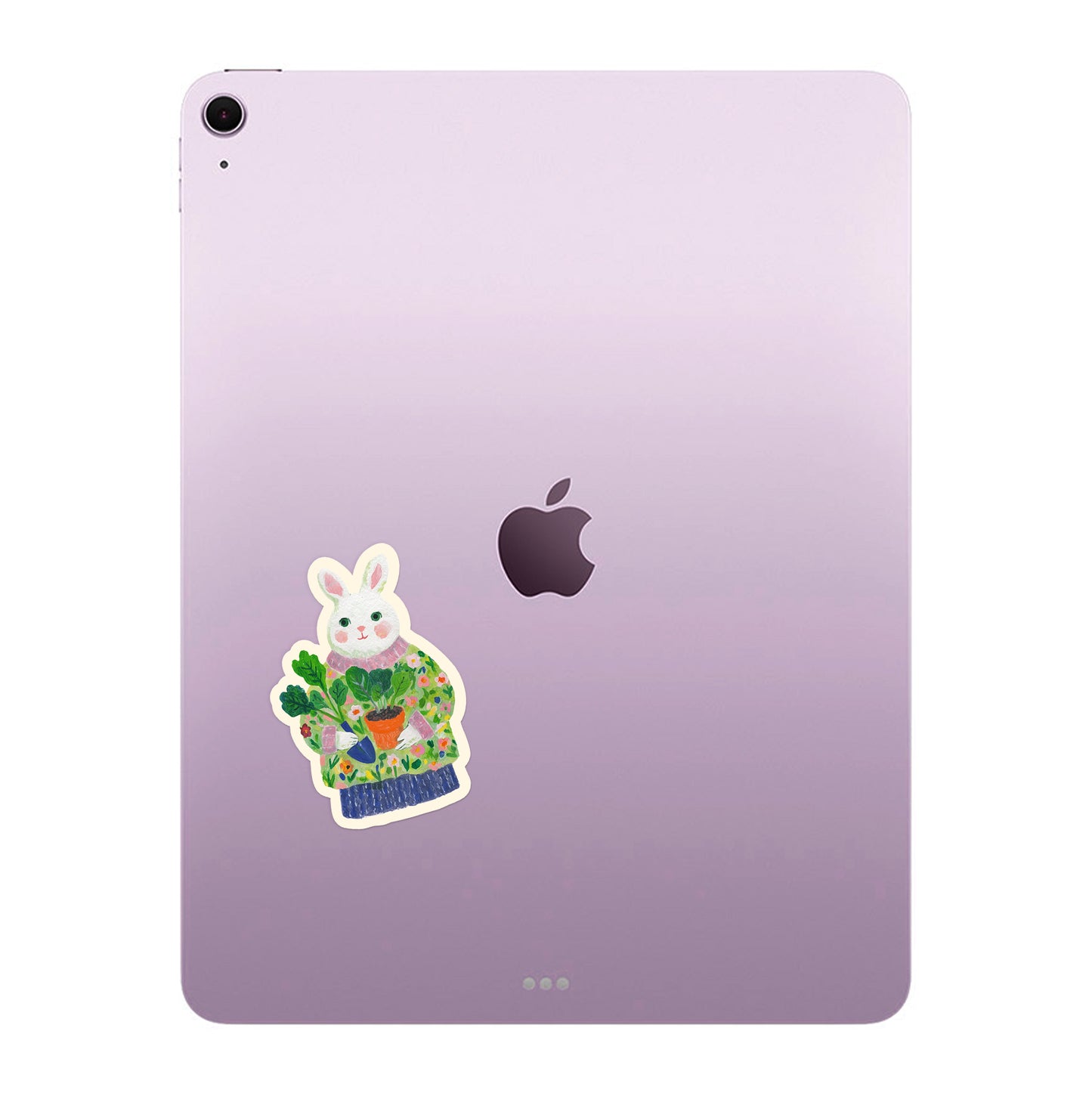 Bunny B II