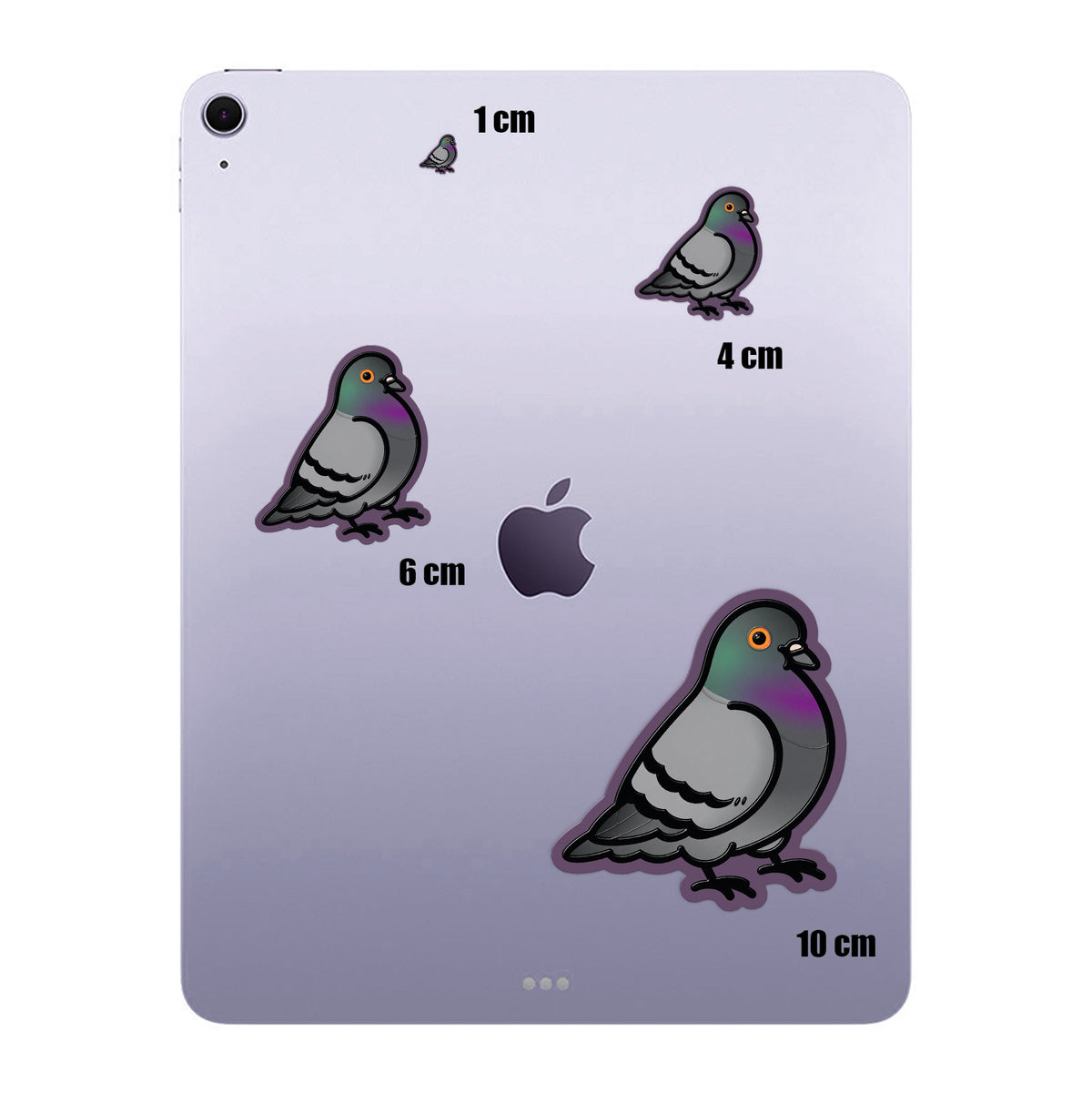 Chunky Pigeon