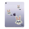 Cool Bunny 2