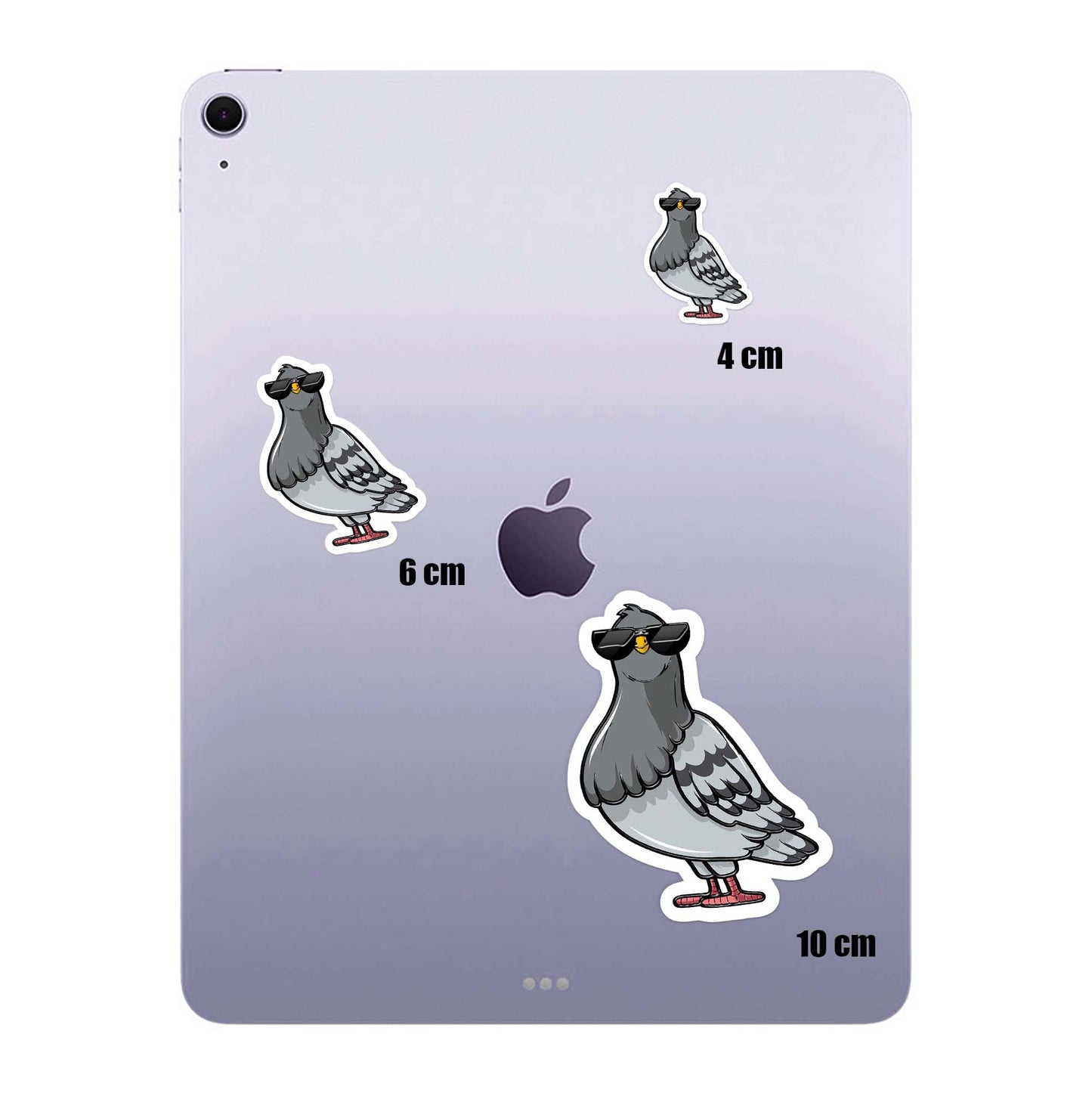 Cool Pigeon