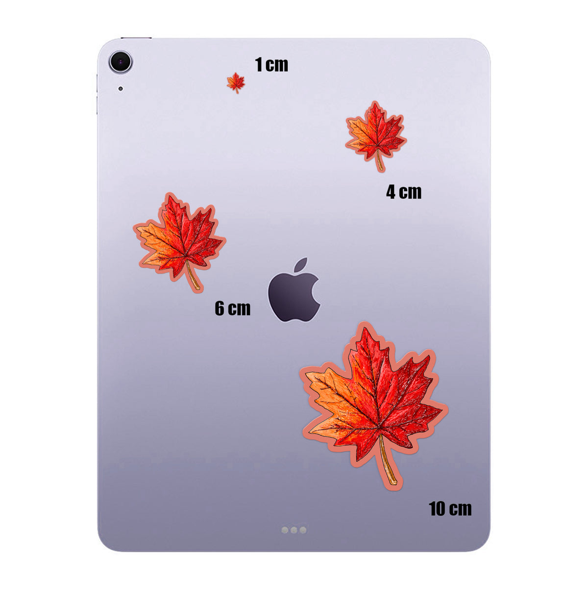 Crimson Maple Leaf