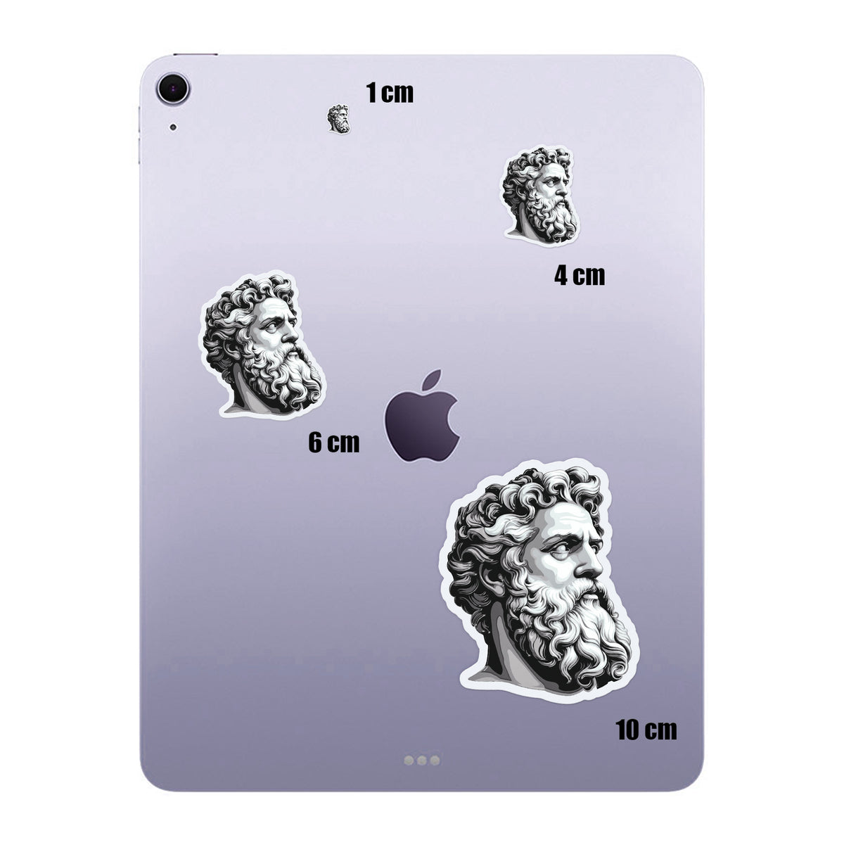 Curly Beard Bust
