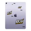 Ecumaster Logo