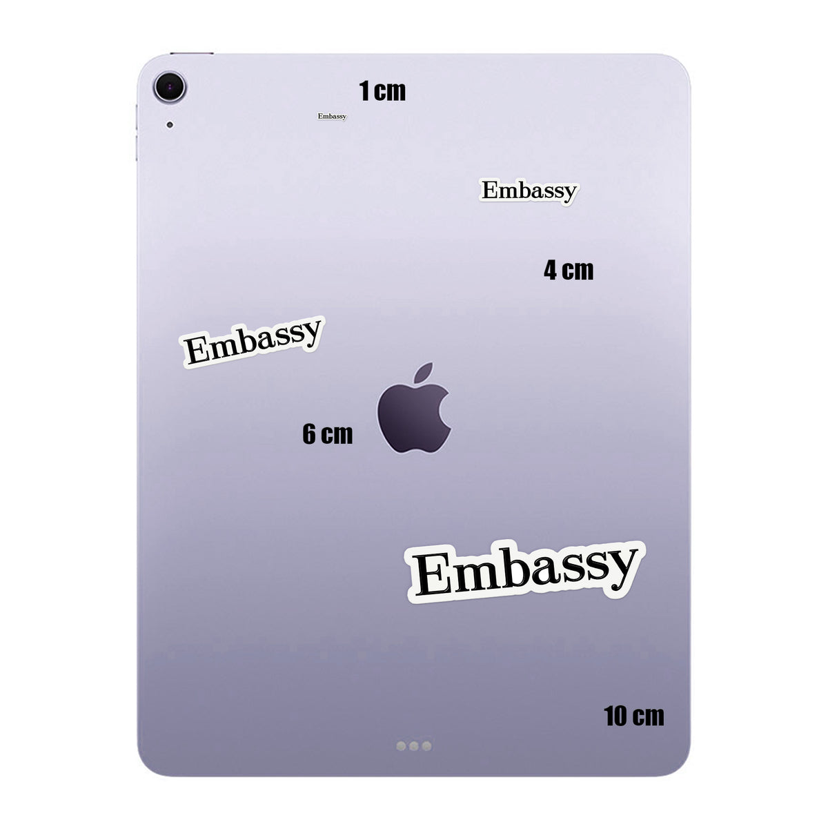 Embassy Logo