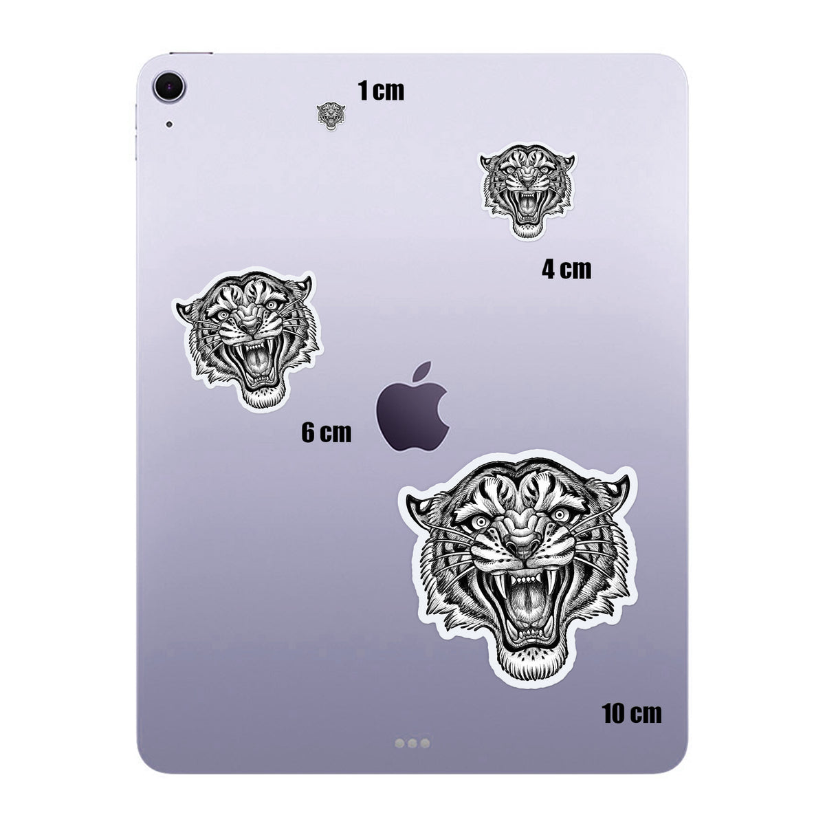 Engraved Tiger