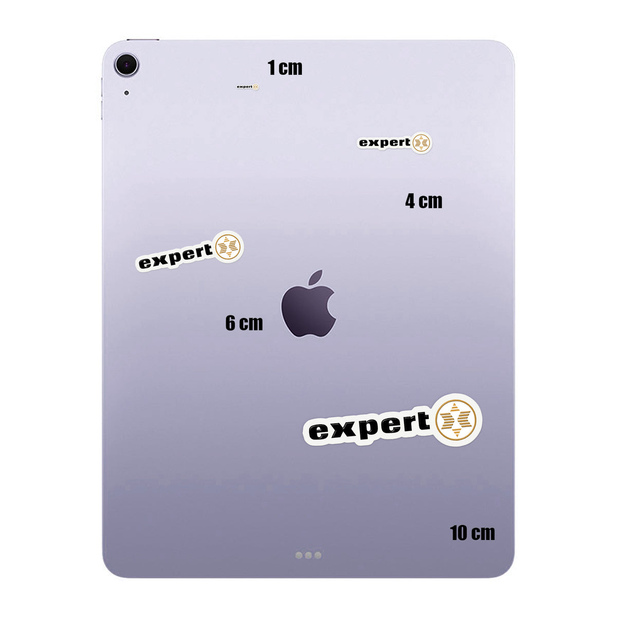 Expert Logo