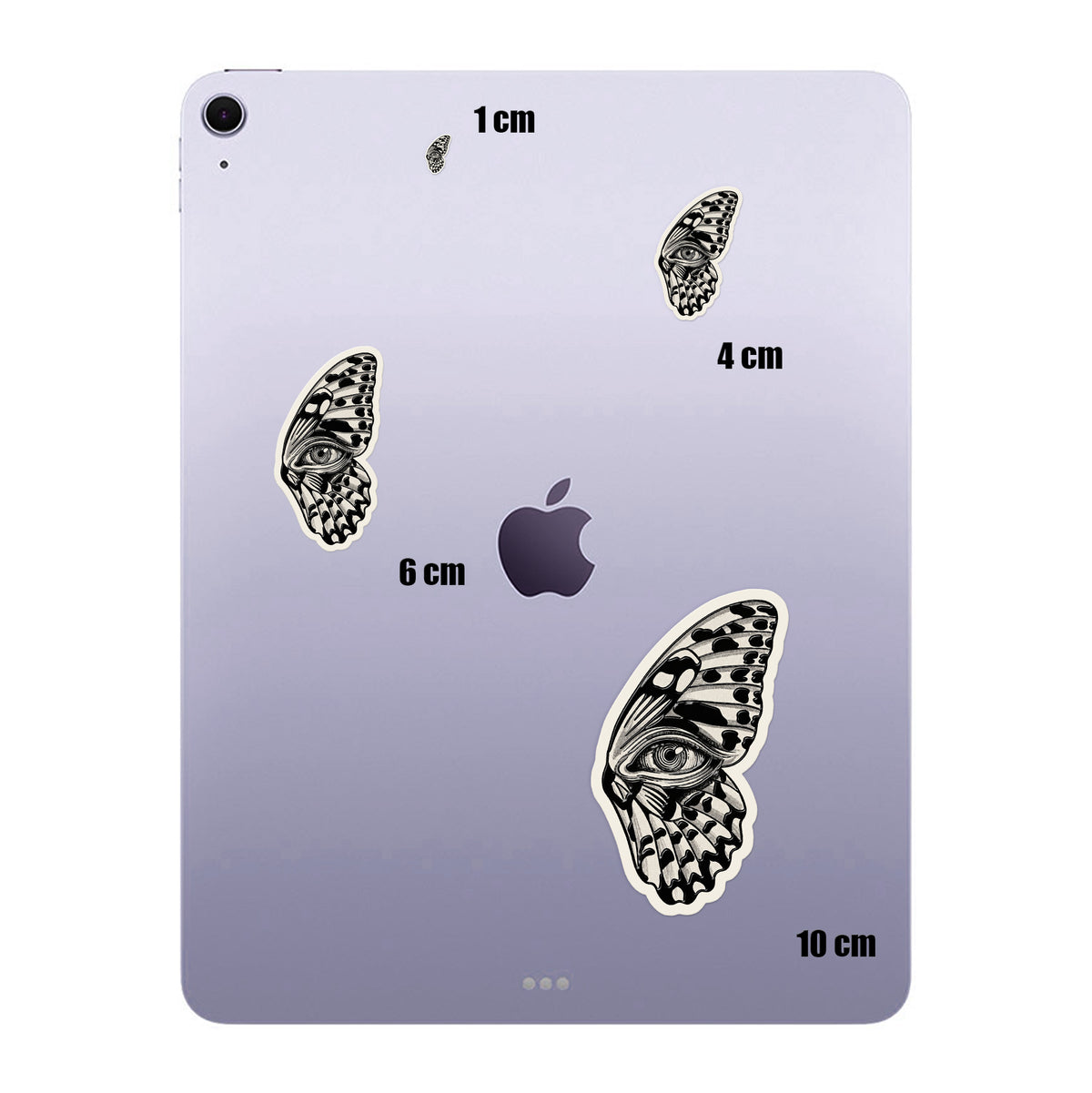 Eye Wing Butterfly