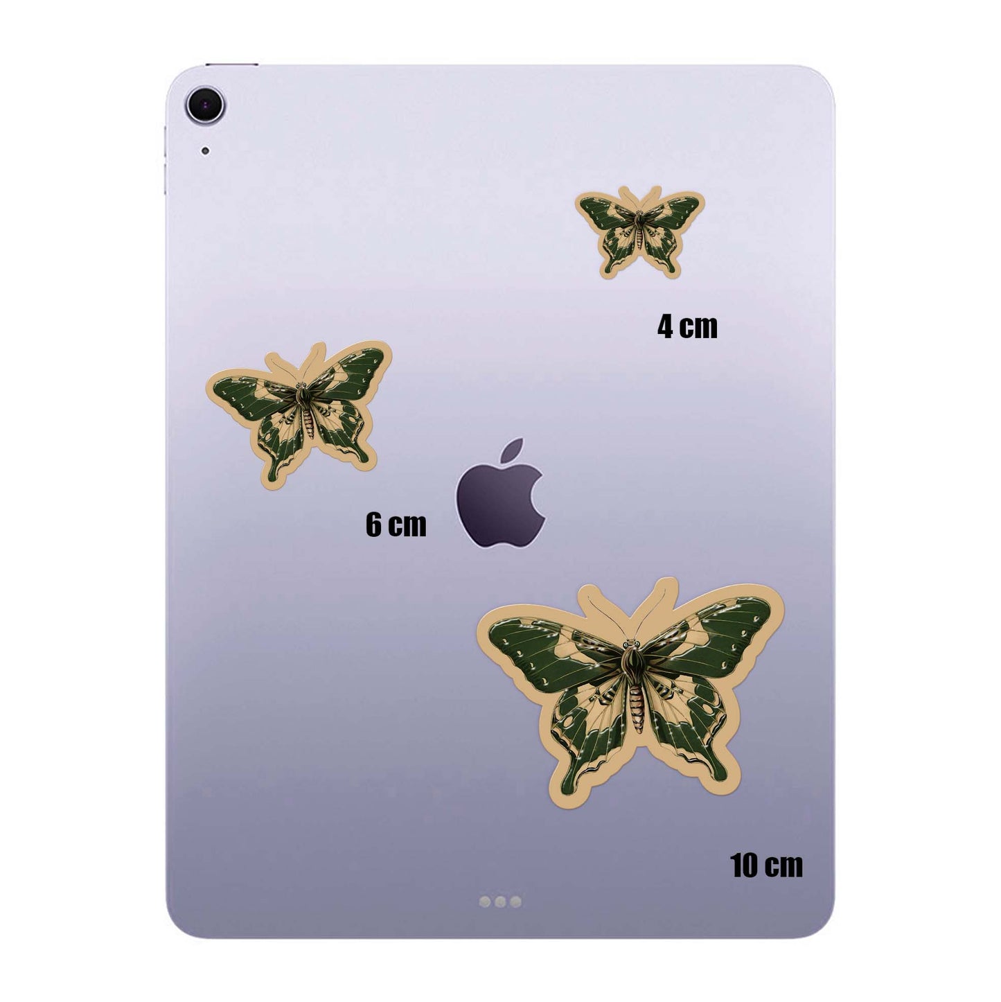 Forest Wing