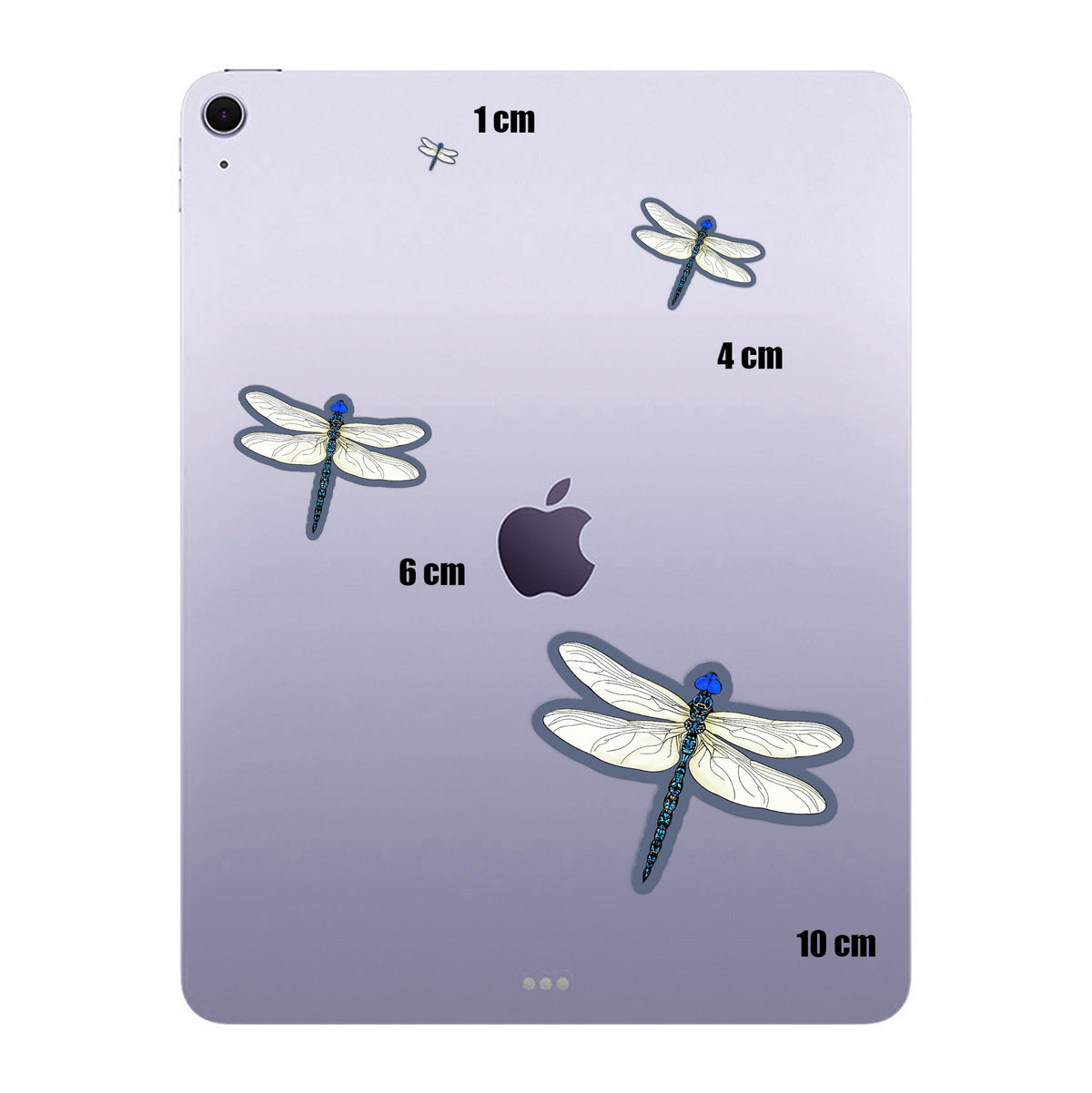 Glass Dragonfly