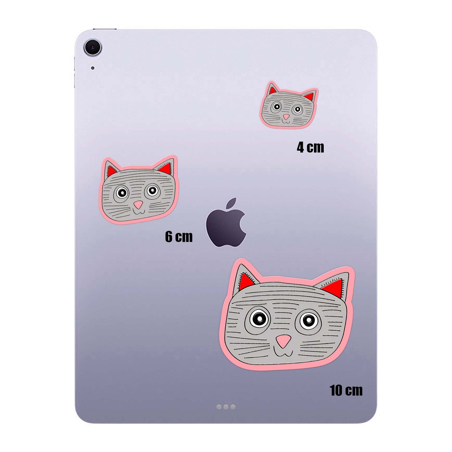 Grey Cat
