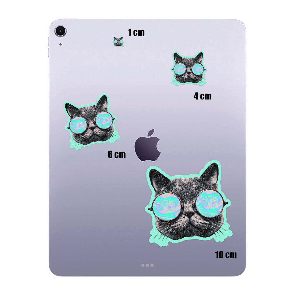 Holo Shades Cat