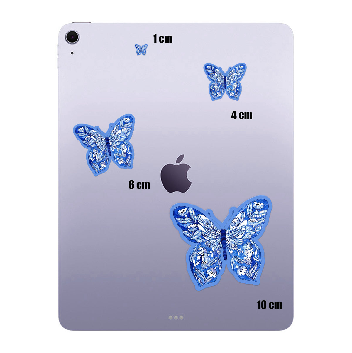 Indigo Butterfly