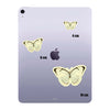 Ivory Wing