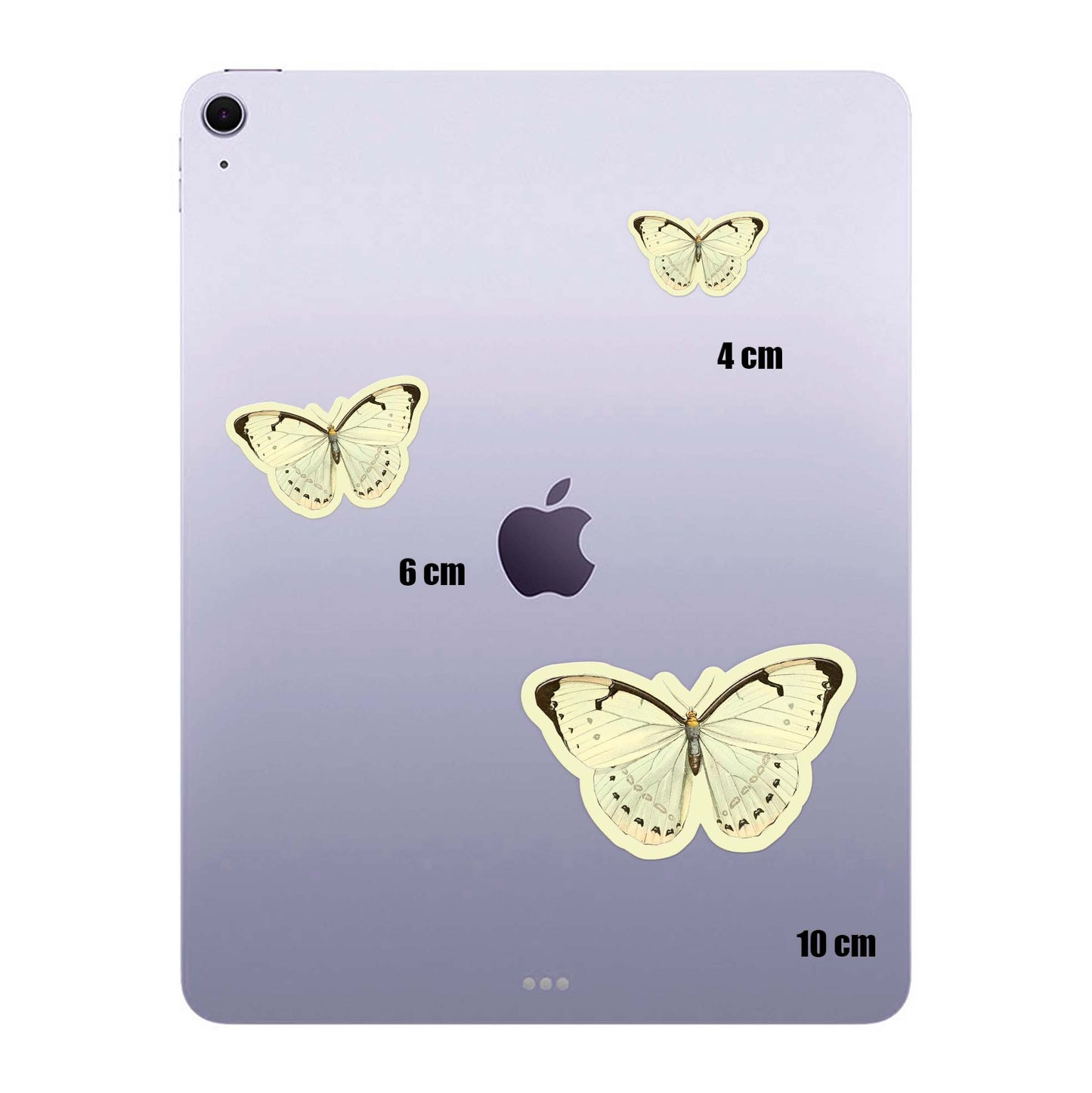 Ivory Wing