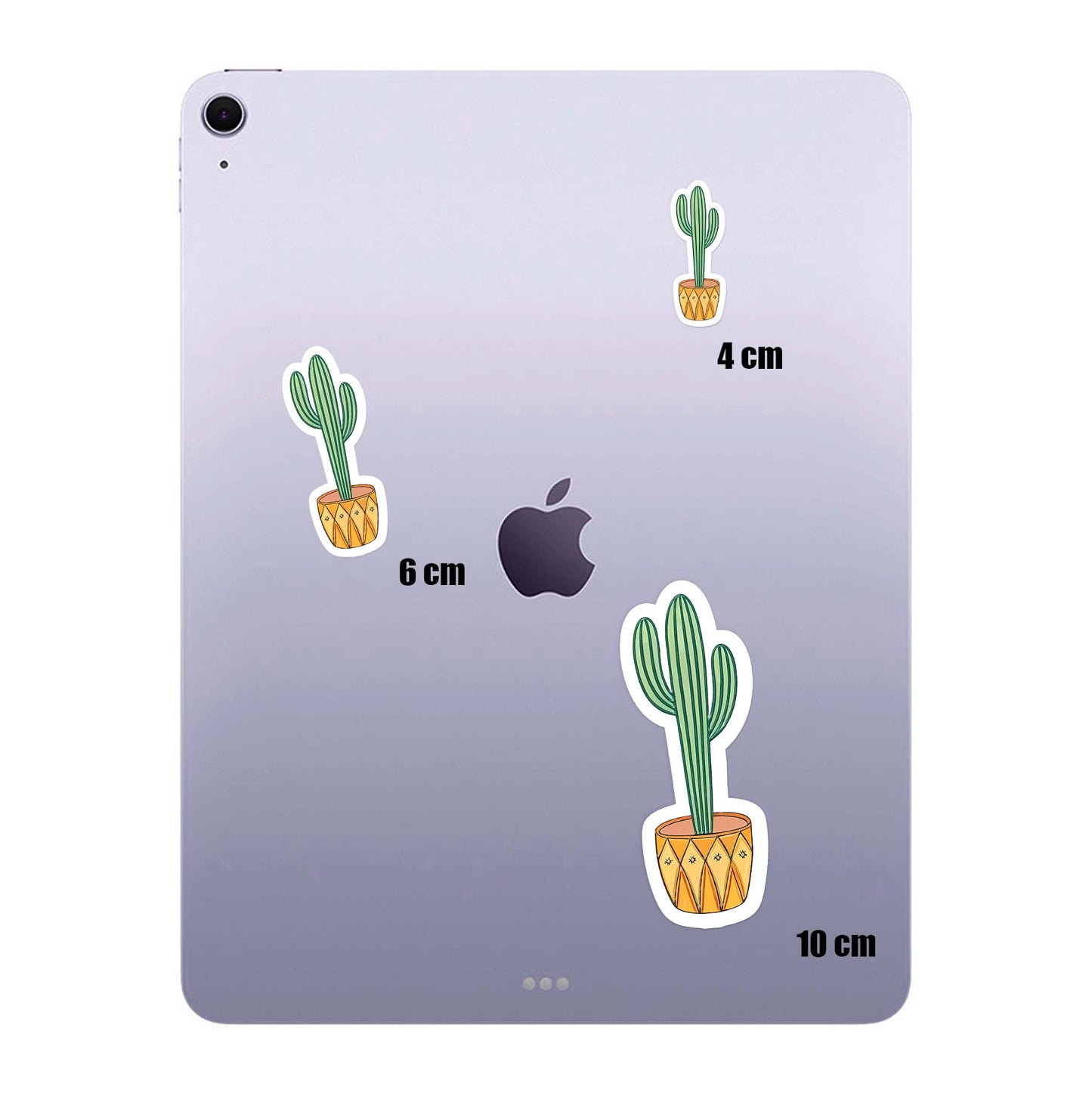 Mini Cactus