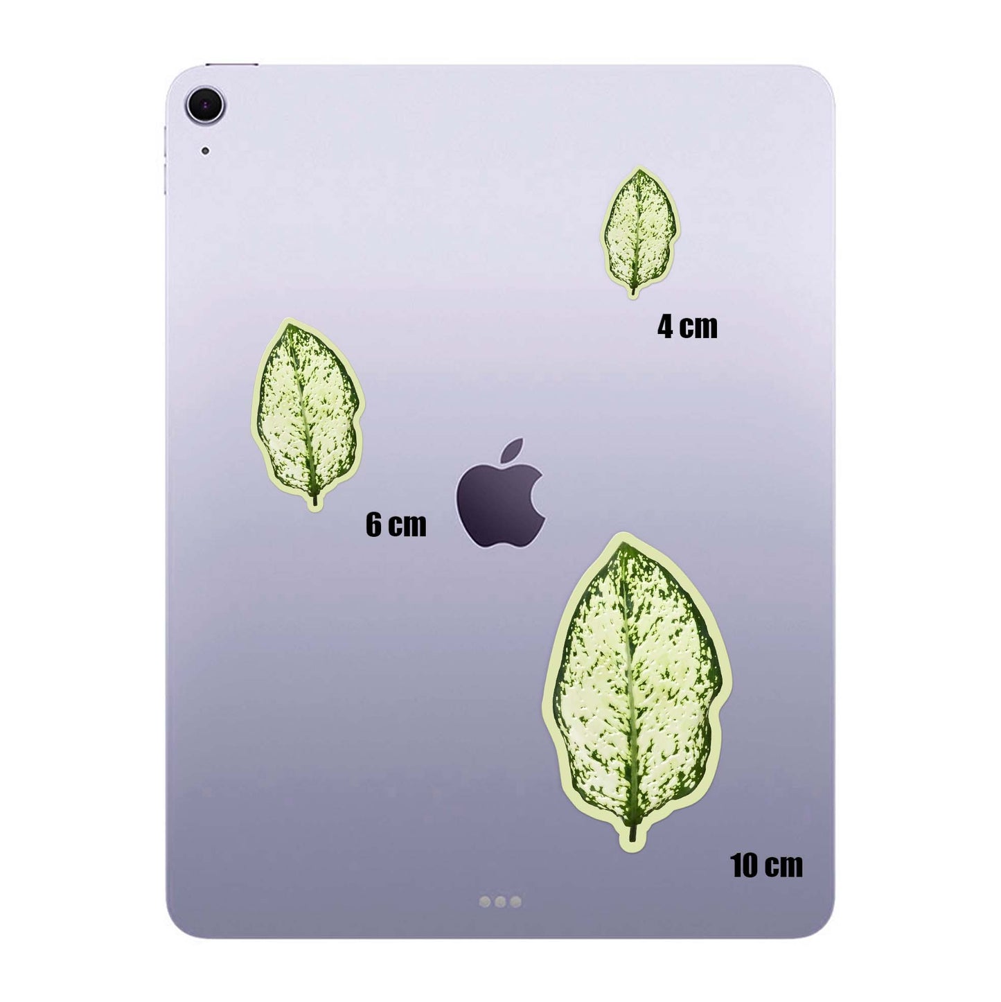 Moss Leaf