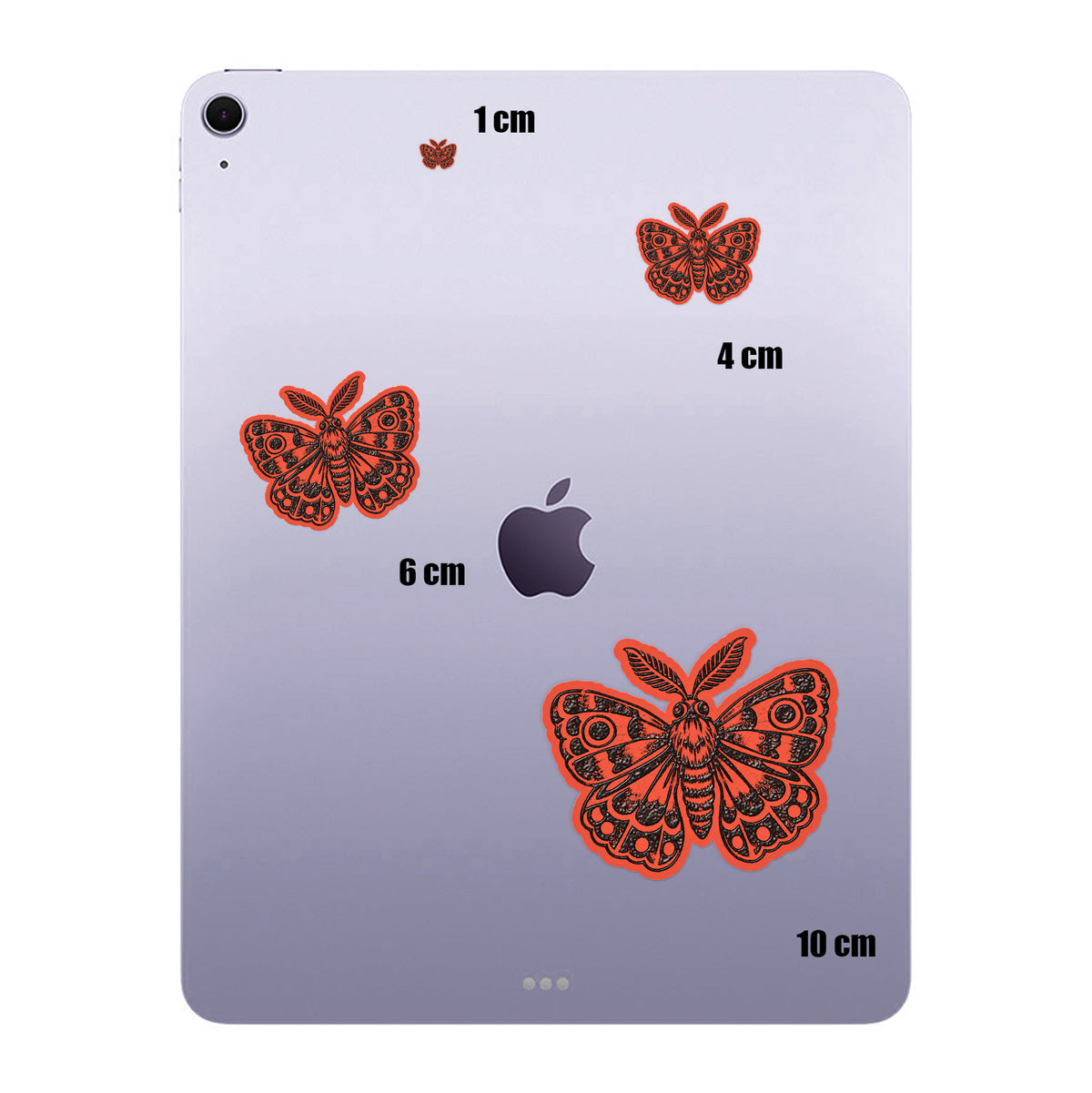 Moth Wings