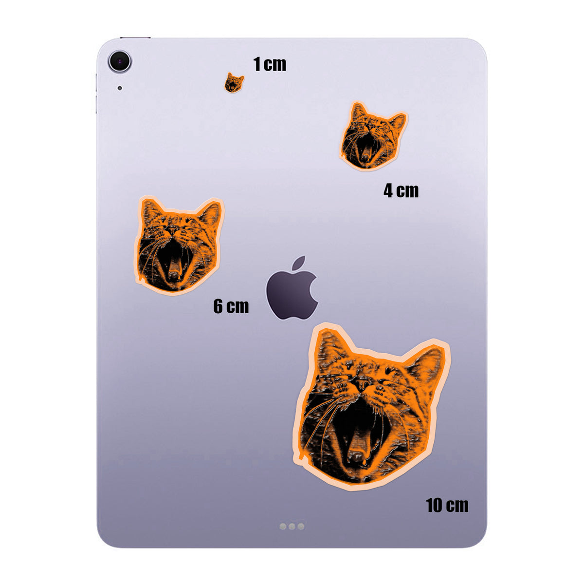 Orange Yawning Cat