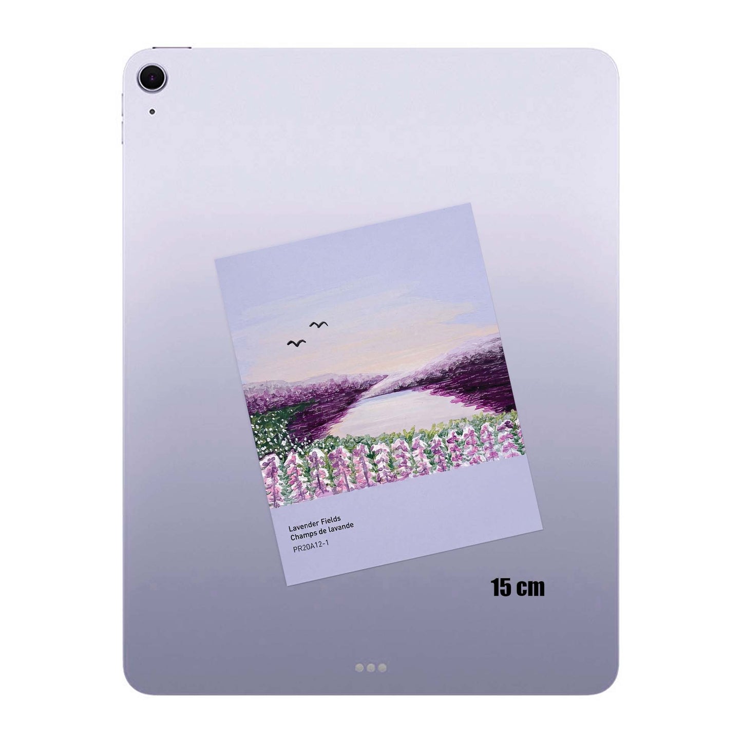 P-Lavender Fields
