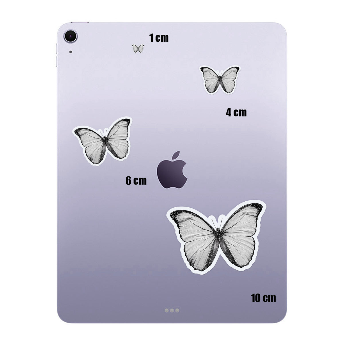 Pale Butterfly