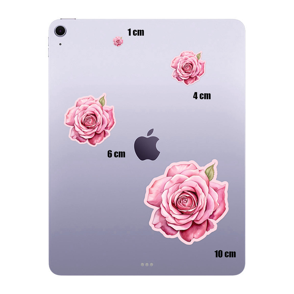 Pink Watercolour Rose